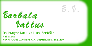 borbala vallus business card