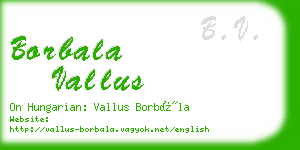 borbala vallus business card